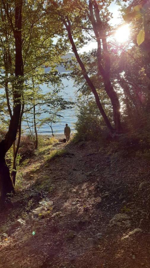 Villa Sara - Perfect Family Holiday Brzac エクステリア 写真